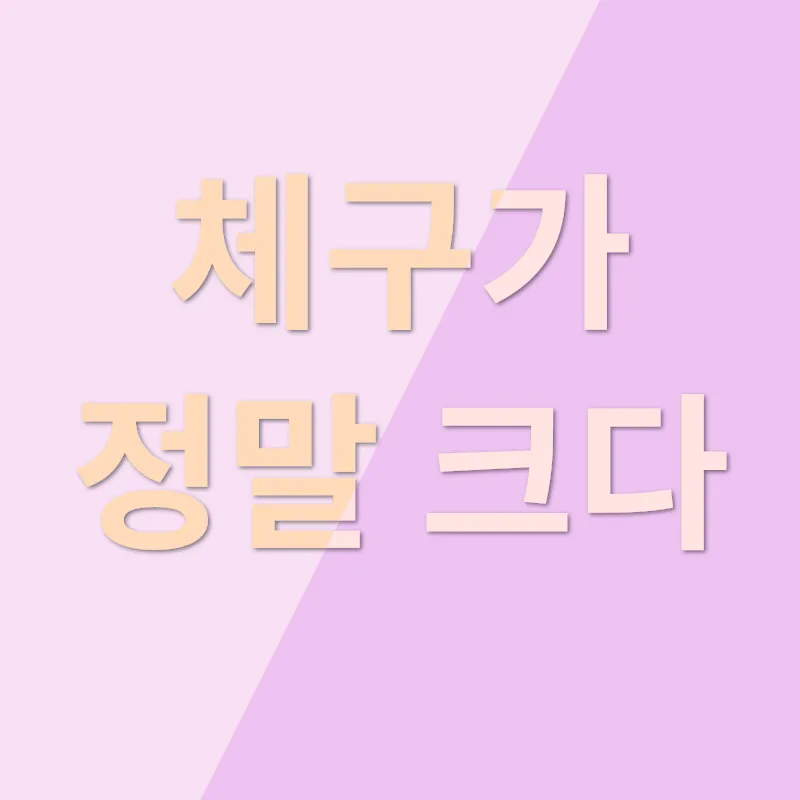 메인쿤 특징_1