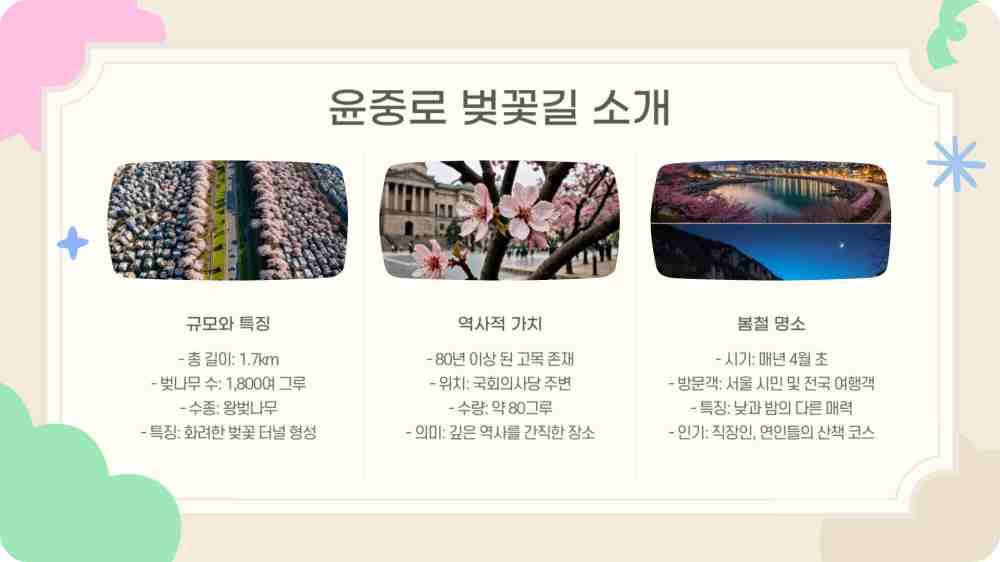 여의도 윤중로 벚꽃길 - 사람없는 한적한 곳은?