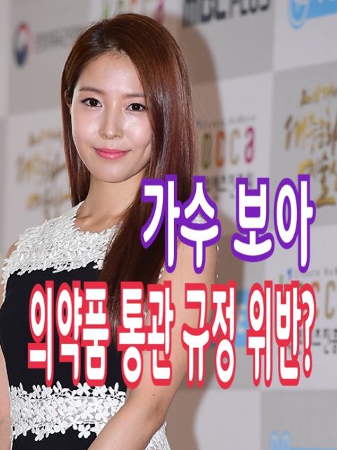  가수 보아, '향정신성의약품' 밀반입? 통관규정 위반? 무지함에서 비롯?