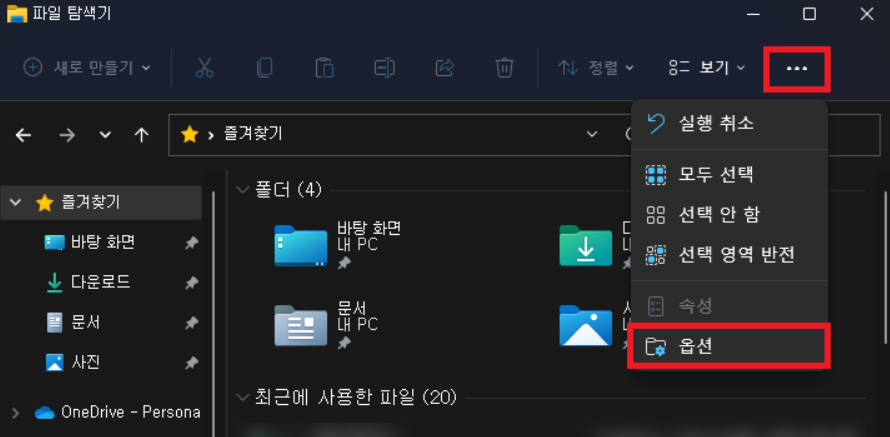 파일 탐색기 옵션 선택