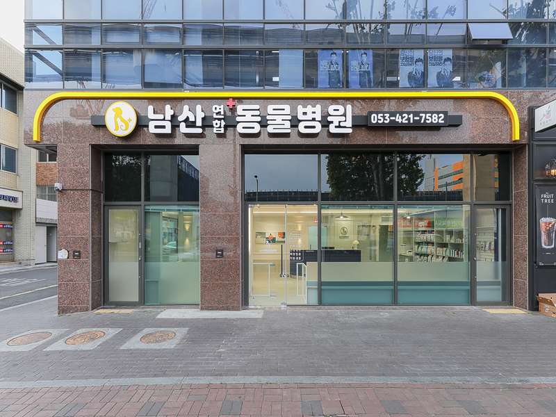 대구 중구 애견미용 잘하는 곳 BEST4 | 비용 비교 | 후기 작성 | 예약 방법 | 반려견 관리 | 추천 서비스 | 총정리 - 4. 남산연합동물병원 소개 대구 중구 애견미용 잘하는 곳 BEST4 | 비용 비교 | 후기 작성 | 예약 방법 | 반려견 관리 | 추천 서비스 | 총정리 - 4. 남산연합동물병원 소개