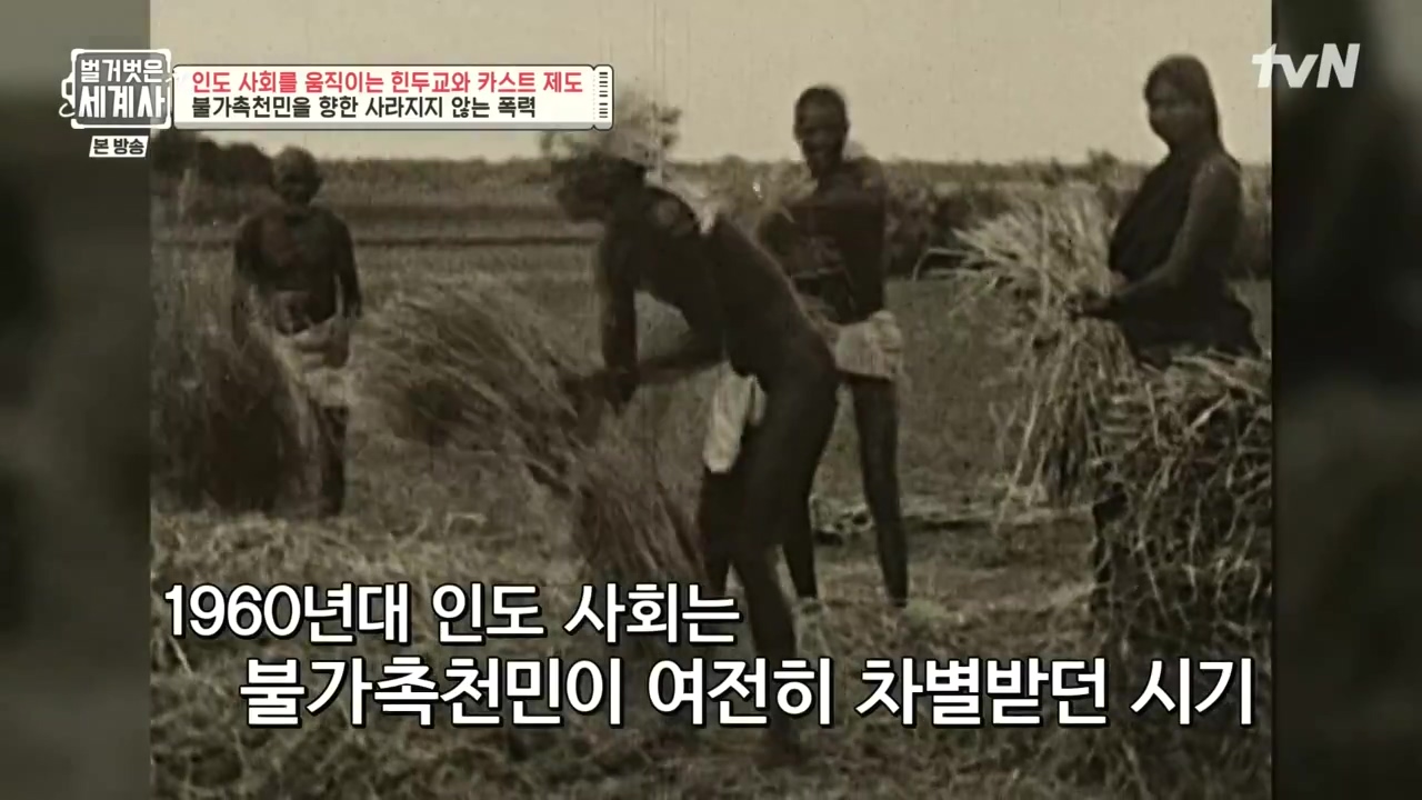 벌거벗은 세계사.E115.230906p-NEXT.mp4_20240406_175743.302.jpg