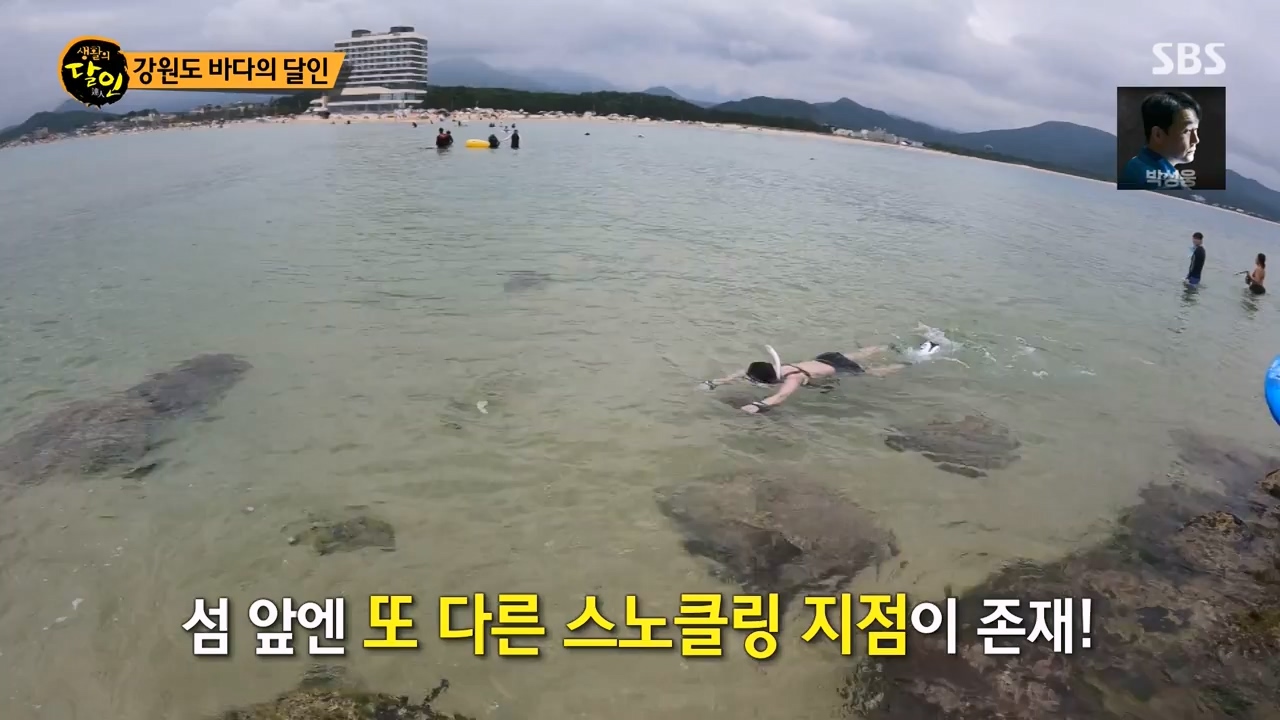 생활의 달인.E899.230732p-NEXT.mp4_20230801_213226.940.jpg