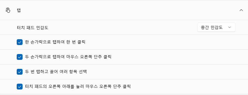 터치패드의 탭 설정화면