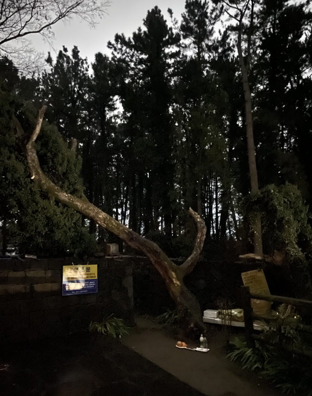 9일기도 제주도 기도 11