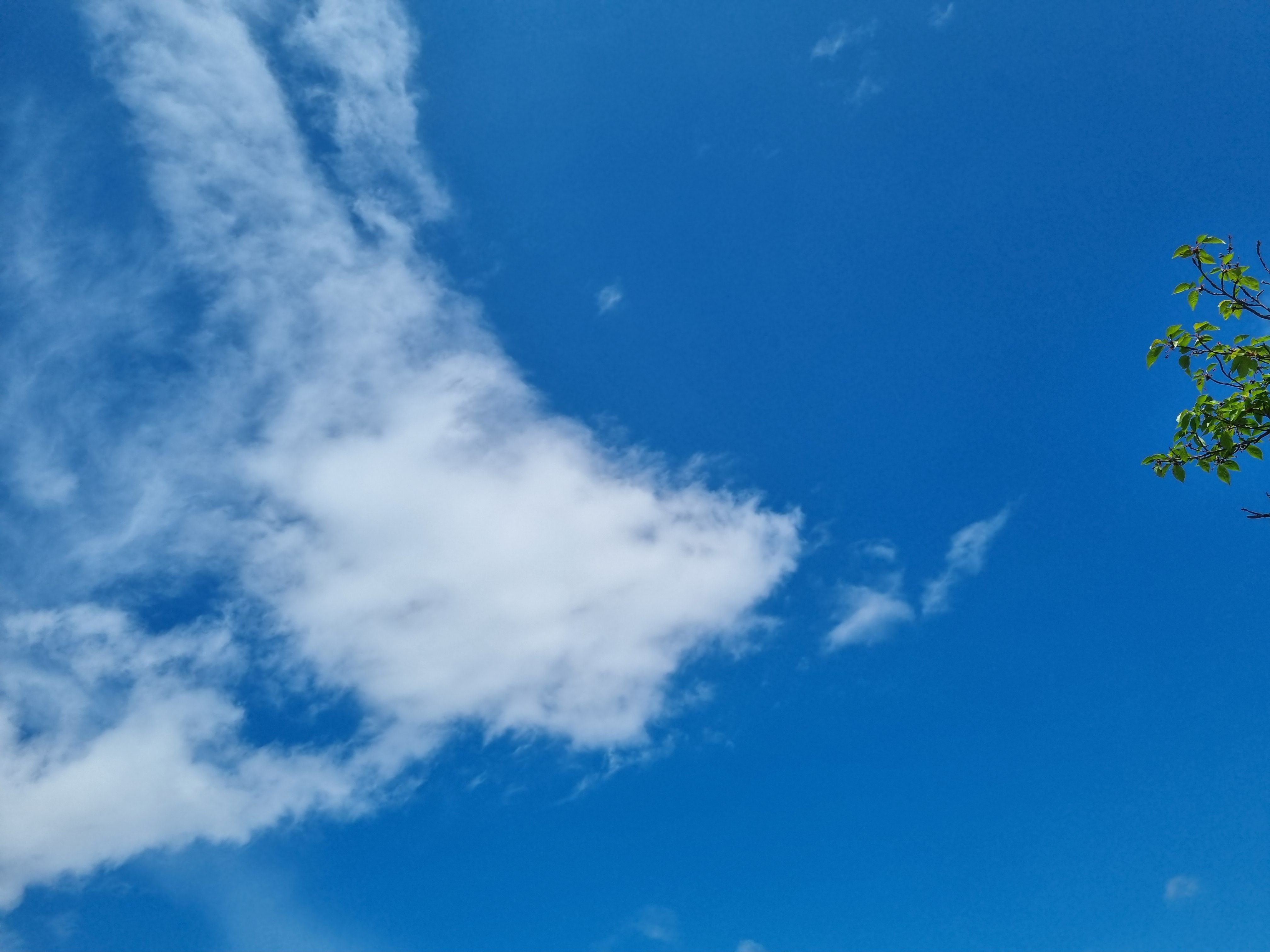 파란 하늘의 하얀 구름