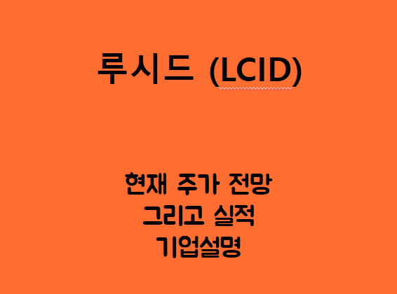  루시드 (LCID) 전기차 시작해본다잉.