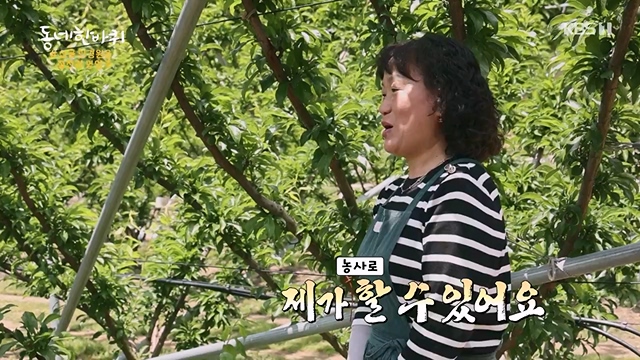 동네 한 바퀴.E228.230618p-NEXT.mp4_20230621_213519.566.jpg