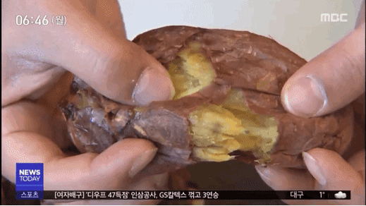  뉴스에 나온 군고구마.jpg