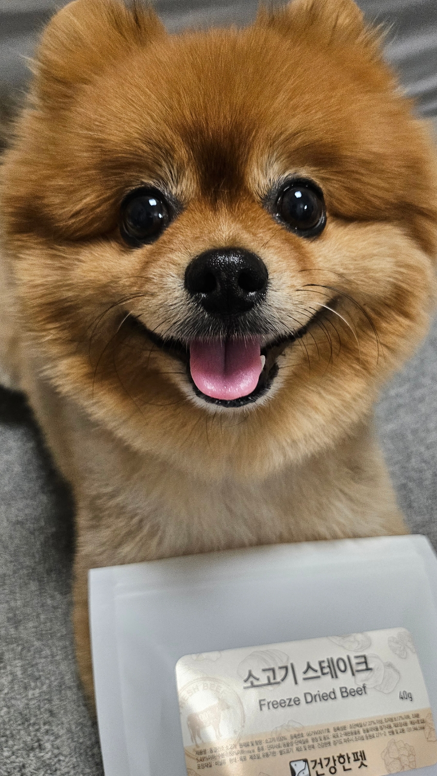 건강한펫 이미지