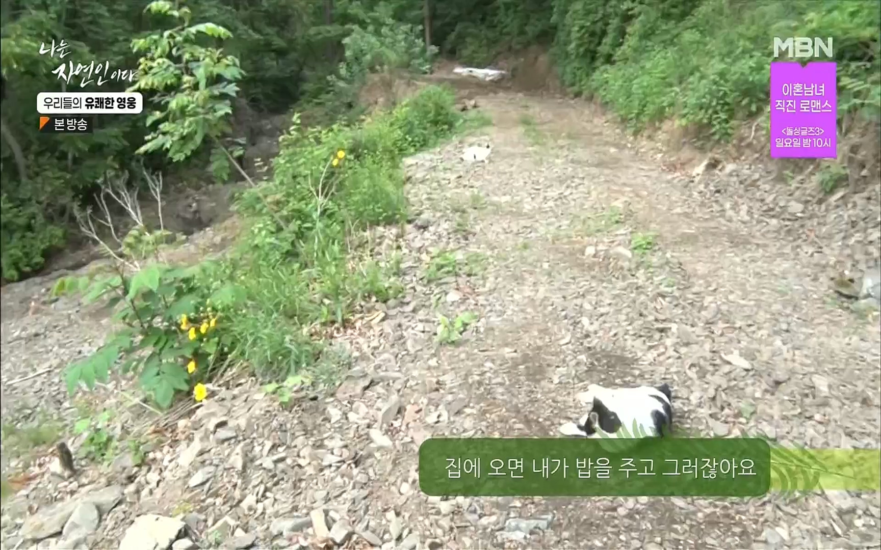 나는 자연인이다.E508.220629p.H264-F1RST.mp4_20220630_203402.230.jpg