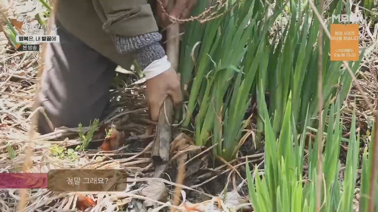 나는 자연인이다.E551.230427p.H264-F1RST.mp4_20230427_200337.597.jpg