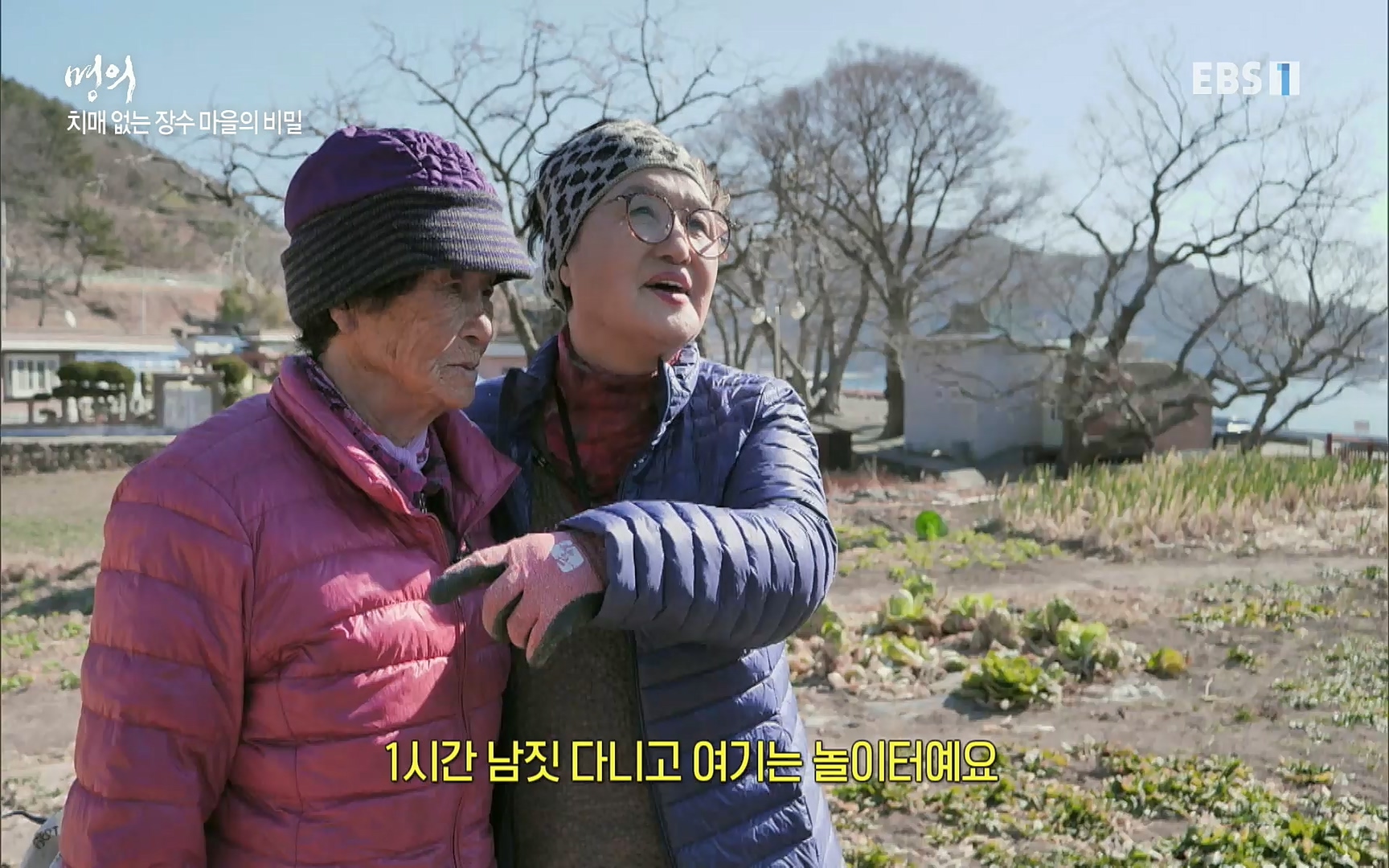 EBS 명의 헬스케어 - TV - 교육의 중심 EBS노화를 막는 다섯가지 열쇠.mp4_20220725_203754.494.jpg