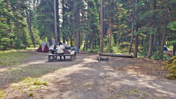 브리지베이 캠프그라운드 Bridge Bay Campground