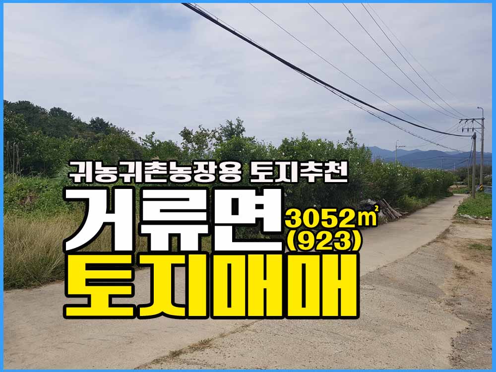  경남고성부동산 토지매매 / 거류면 / 전 / 귀농귀촌용토지 / 농업용토지