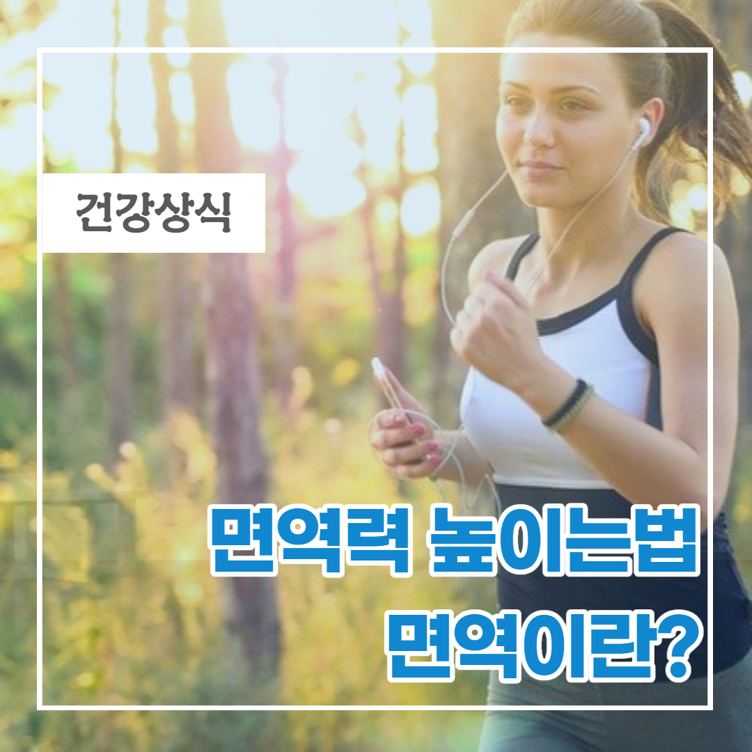  면역력 높이는 방법-면역의저하원인과 기르는 방법