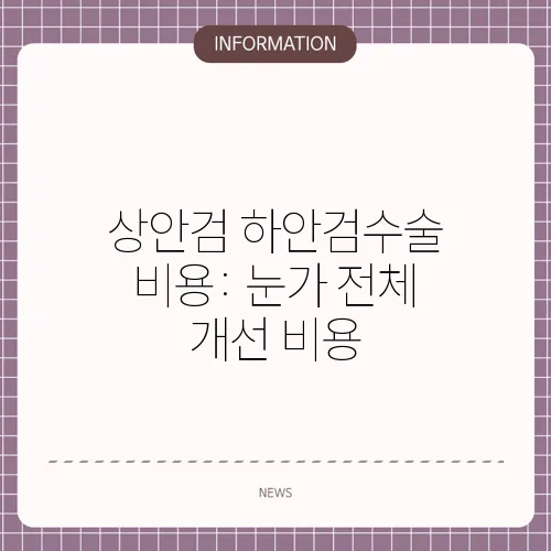 상안검 하안검수술 비용: 눈가 전체 개선 비용