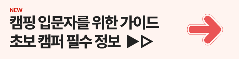 캠핑 입문자를 위한 완벽 가이드: 초보 캠퍼가 알아야 할 모든 것