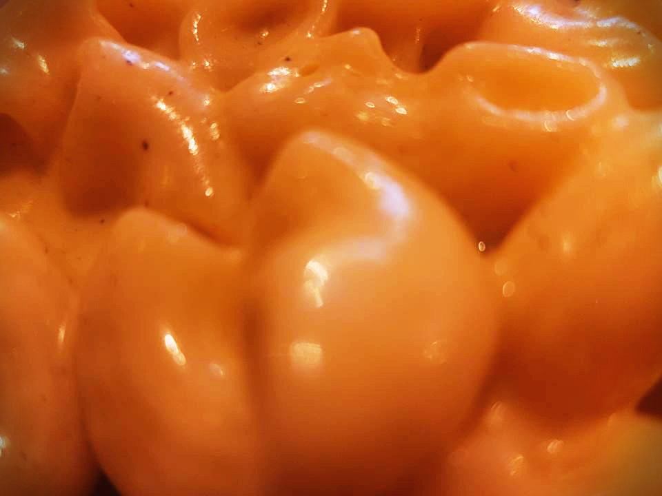 공부하다 죽기를