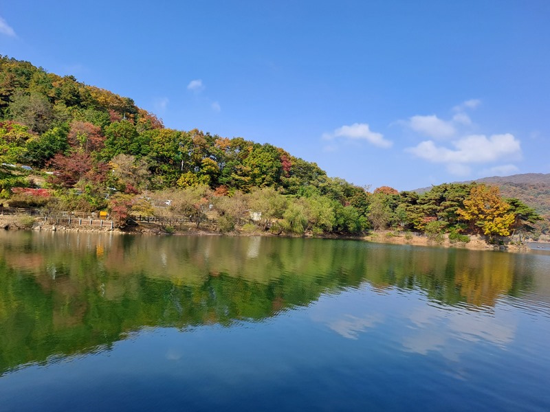 호수단풍길