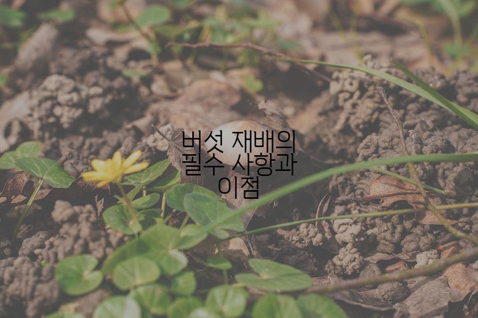 버섯 재배의 필수 사항과 이점