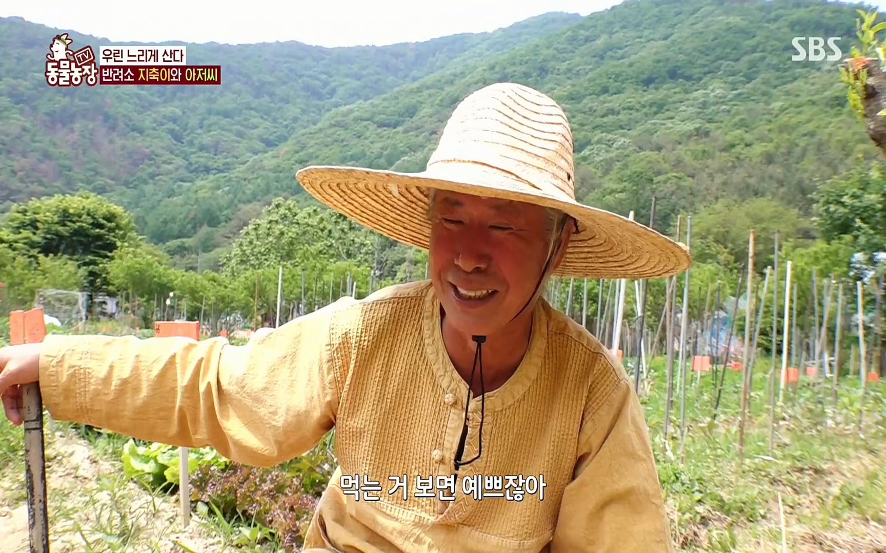 TV 동물농장.E1074.220619p.H264-F1RST.mp4_20220619_181114.342.jpg
