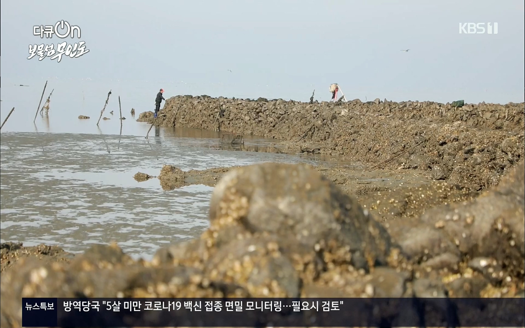 다큐 On.E141p.H264-F1RST.mp4_20220530_202715.258.jpg