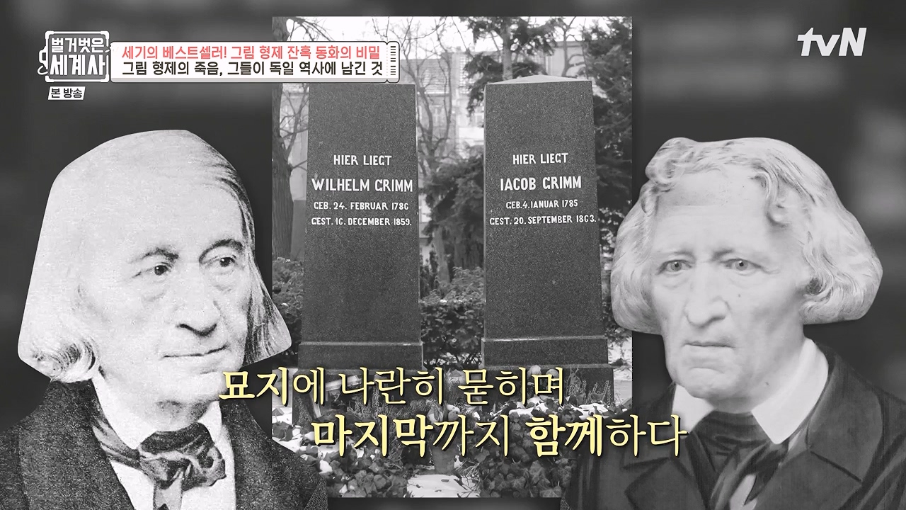 벌거벗은 세계사.E125.231115p-NEXT.mp4_20240601_175732.180.jpg