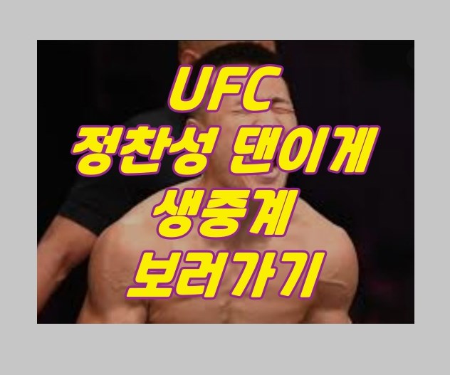 UFC 정찬성 댄이게 경기 생중계 보러가기