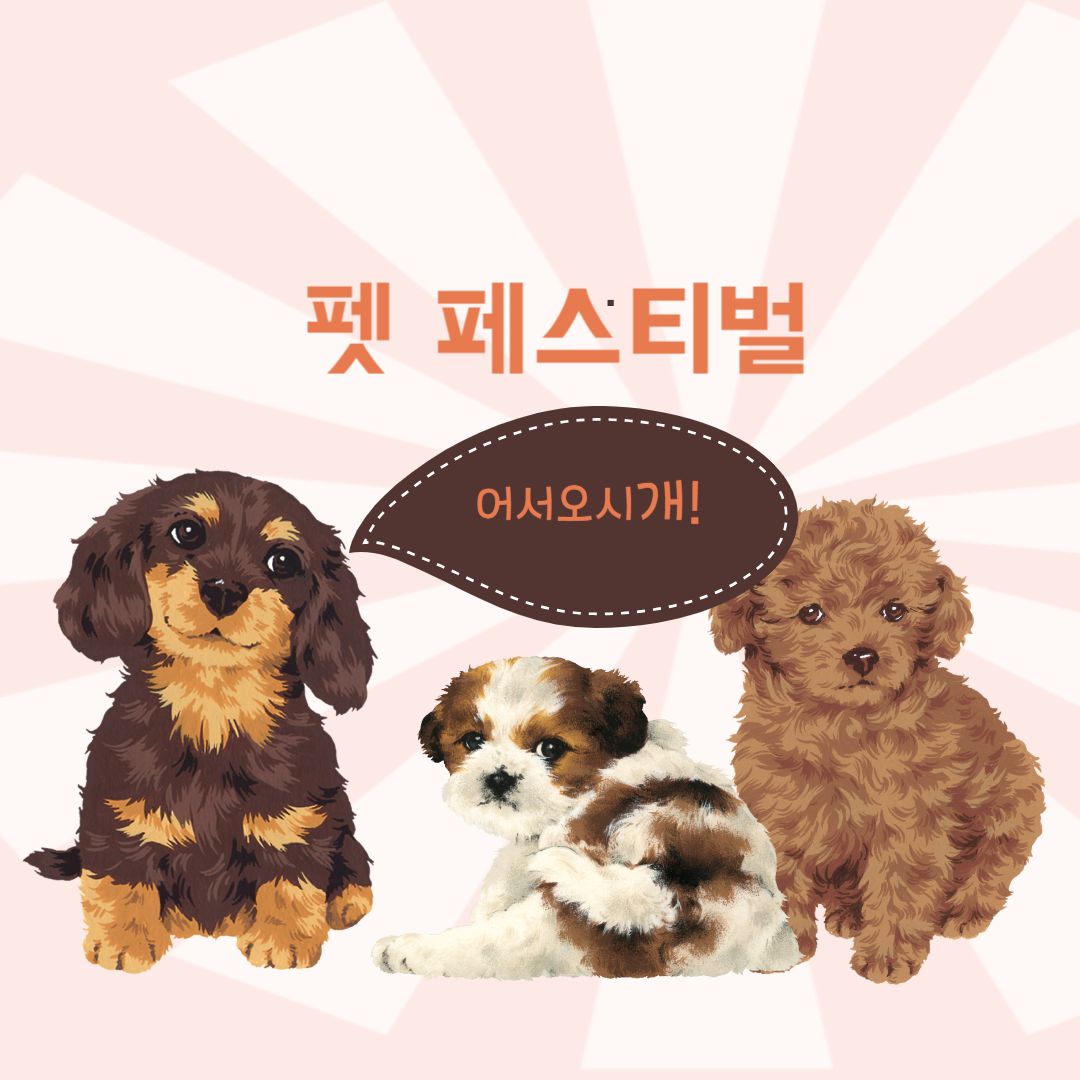 선수촌마켓 이미지