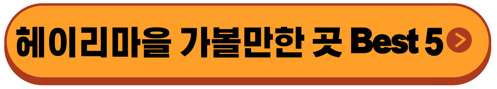 파주시티투어 헤이리