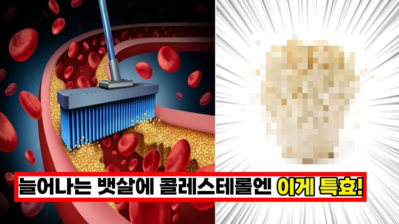  '늘어나는 뱃살에 콜레스테롤이 걱정이라면' 이걸 꼭 드세요.15년 묵은 내장 지방이 싹 없어집니다.