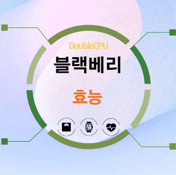 블랙베리 효능