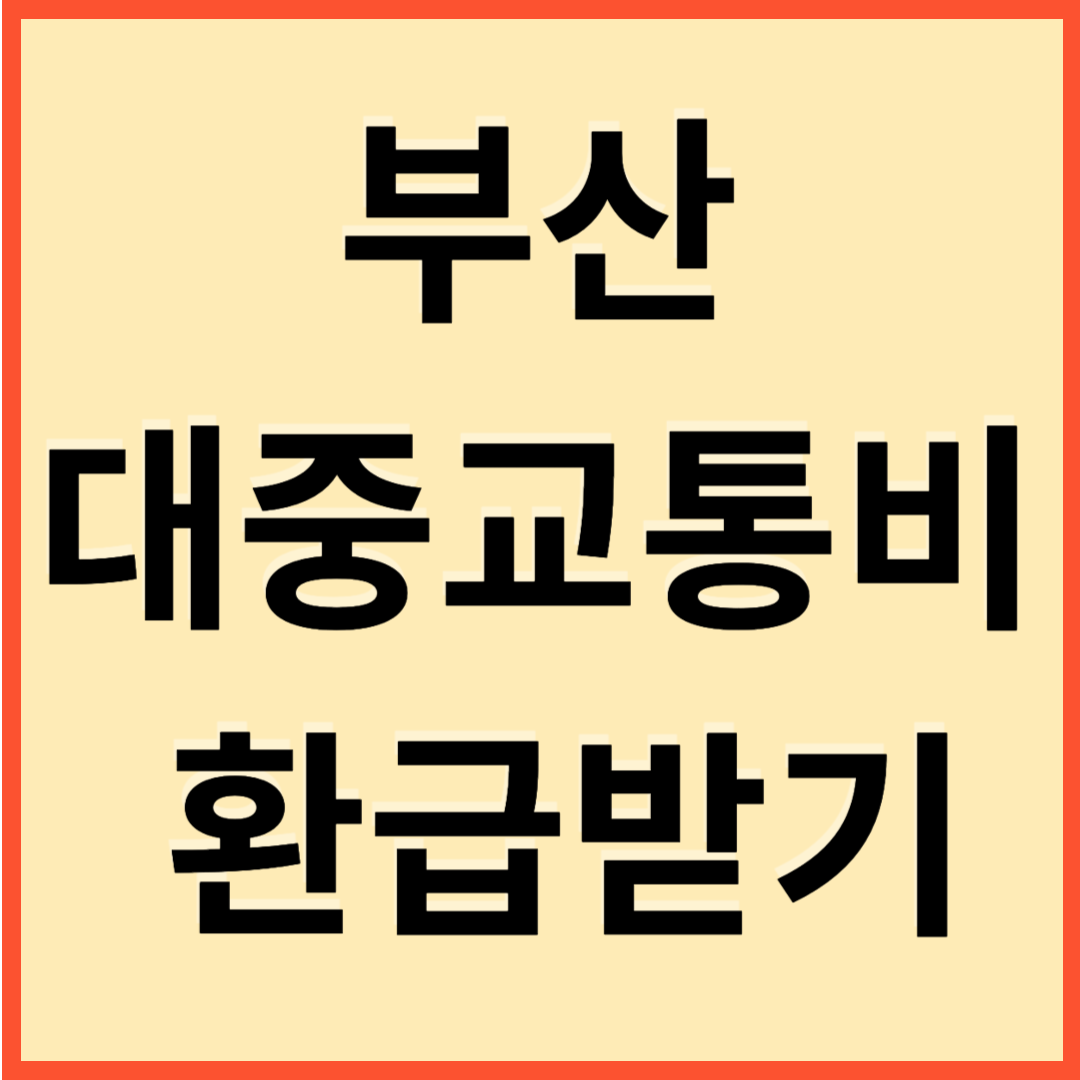  부산 대중교통비 환급받기 방법 및 동백전카드 발급방법까지