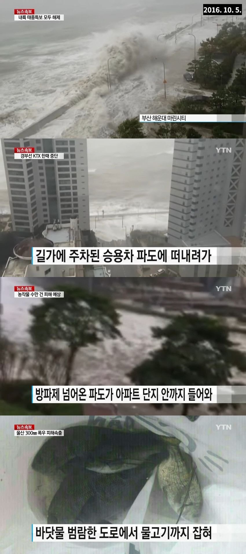  태풍때마다 침수되던 마린시티 근황.jpg
