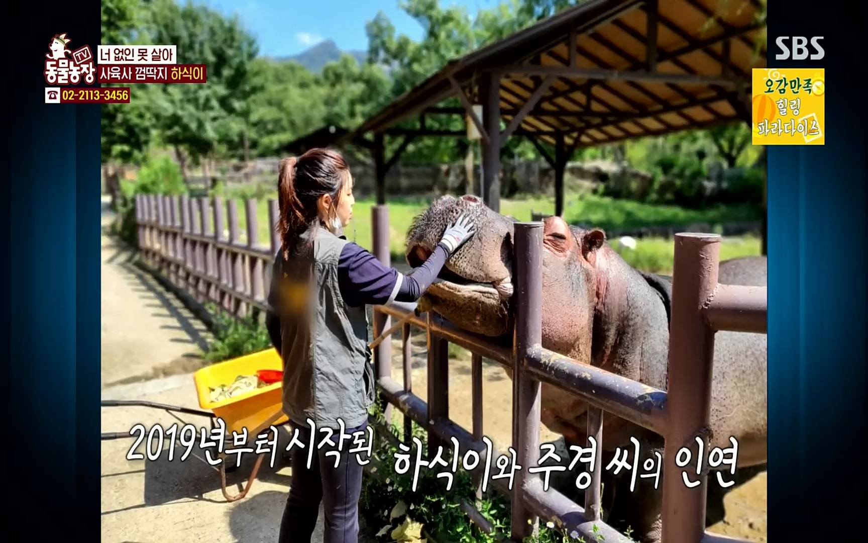 TV 동물농장.E1067.220501p.H264-F1RST.mp4_20220501_181629.746.jpg