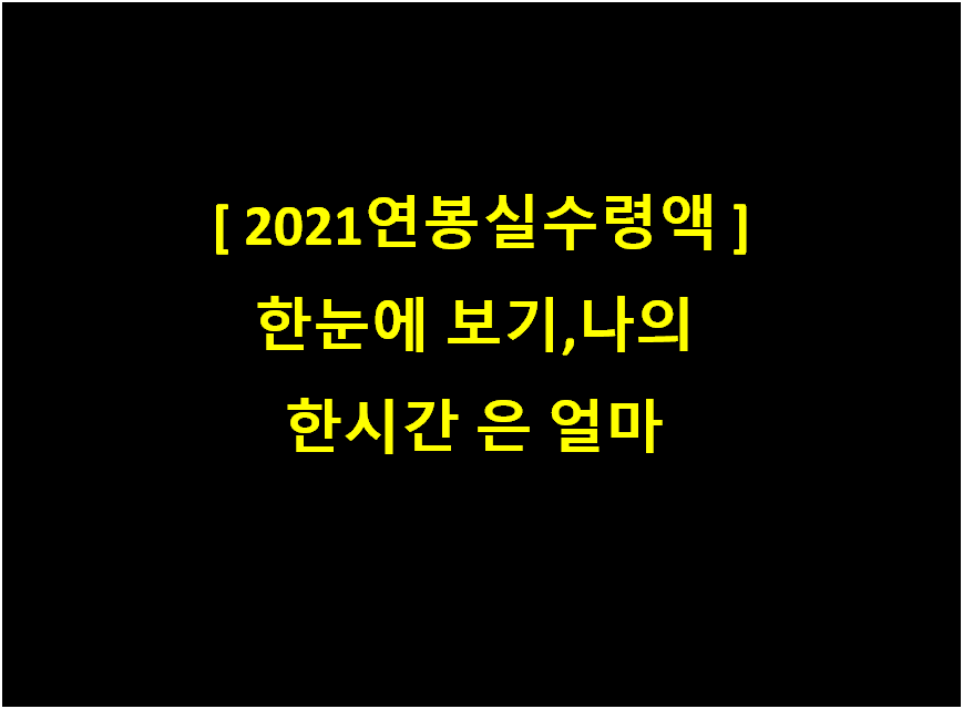  [ 2021연봉실수령액 ] 한눈에 보기, 나의 한시간 은 얼마?