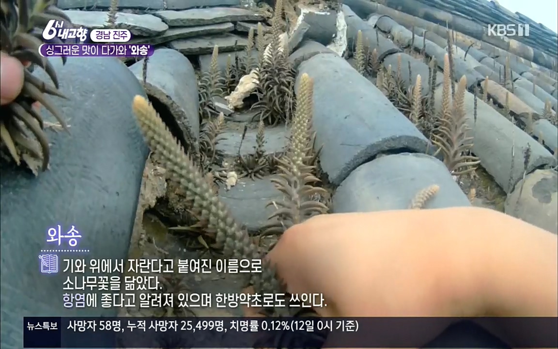 6시 내고향.E7596.220813p.H264-F1RST.mp4_20220814_173424.446.jpg