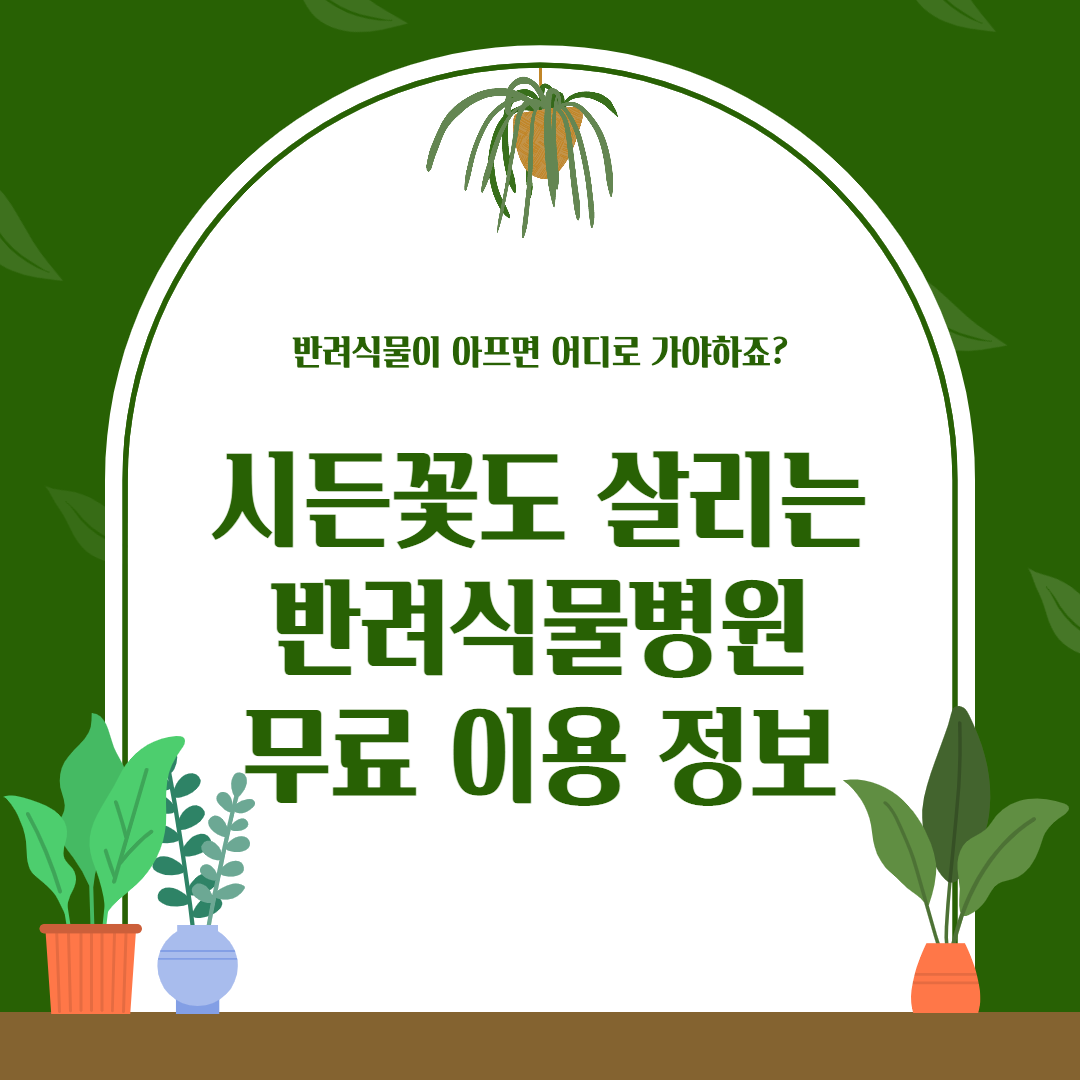  시든꽃도 살리는 반려식물 병원 : 식집사 위한 반려식물병원 무료로 이용해보세요!
