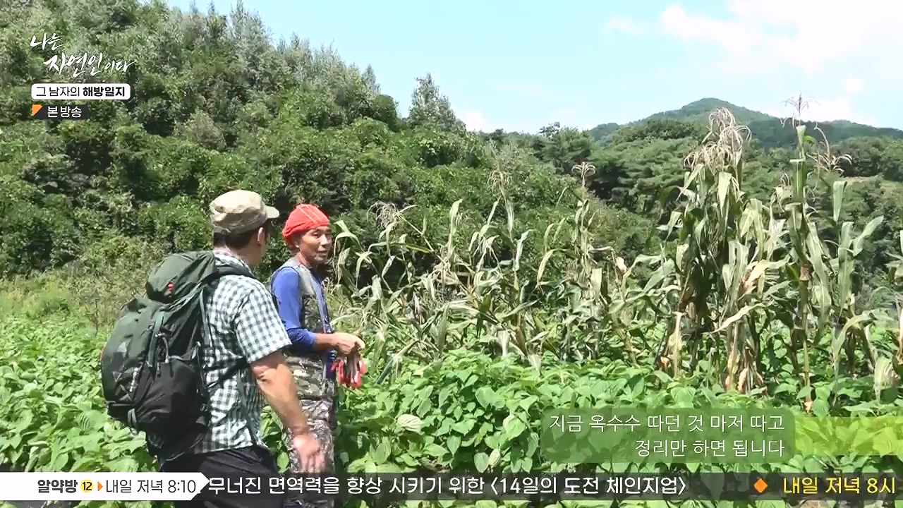 나는 자연인이다.E570.230907p-NEXT.mp4_20230909_163951.922.jpg