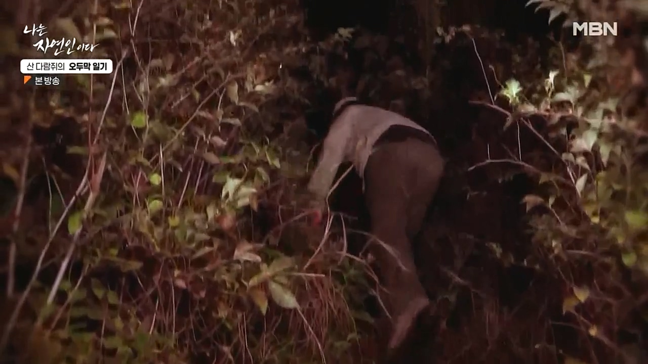 나는 자연인이다.E525.221027p-NEXT.mp4_20221027_192738.029.jpg