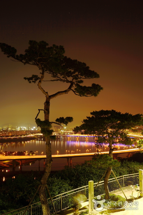 서울 해돋이 명소&amp;#44; 응봉산 팔각정 정보 / 사진 = 대한민국 구석구석 [한국관광공사]