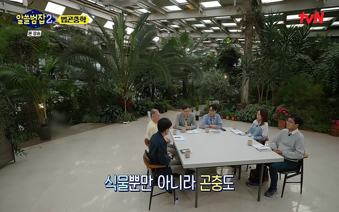 알쓸범잡 2.E15.220425p-NEXT.mp4_20220425_181033.123.jpg