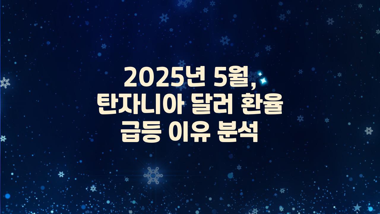 2025 5월 탄자니아 환율 달러