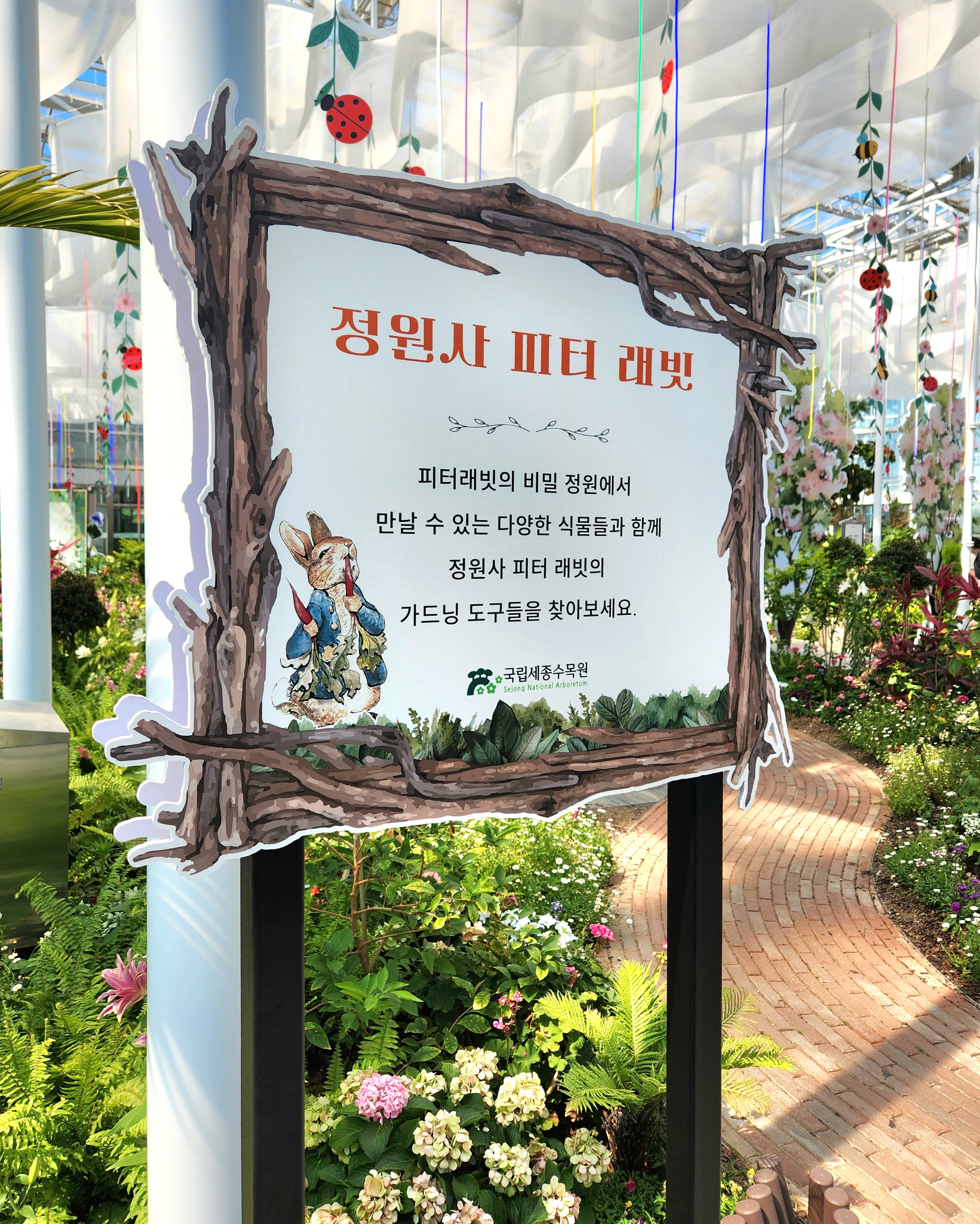 세종 가볼만한곳 국립세종수목원 피터래빗 기획전시