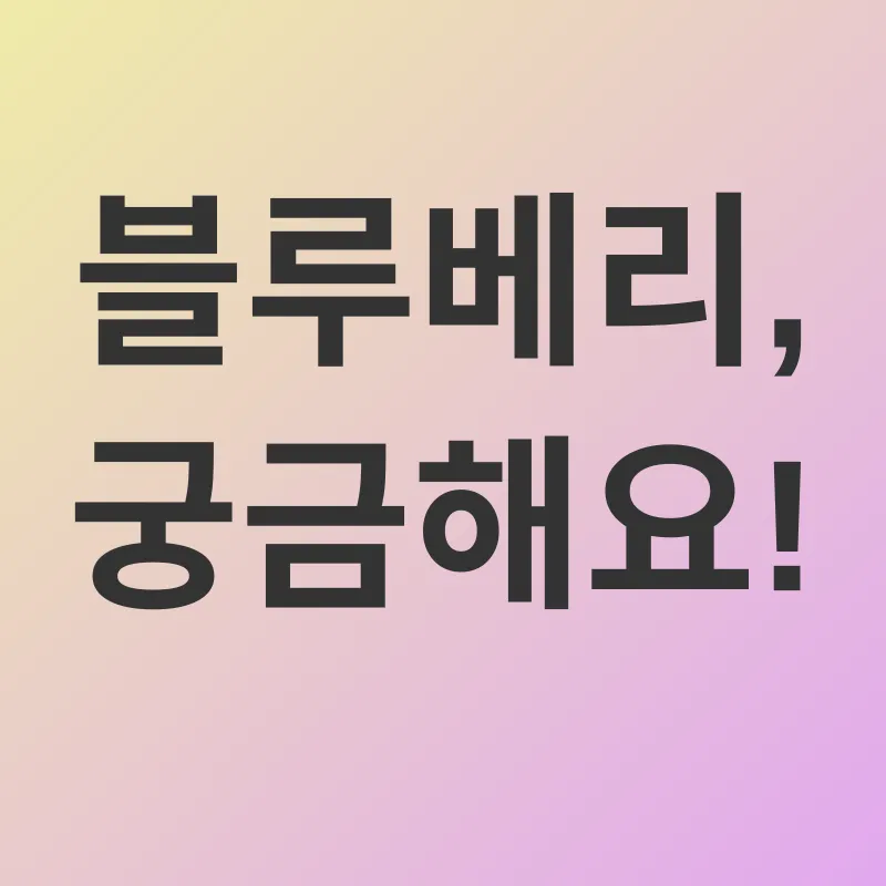 블루베리 피부 효능_4