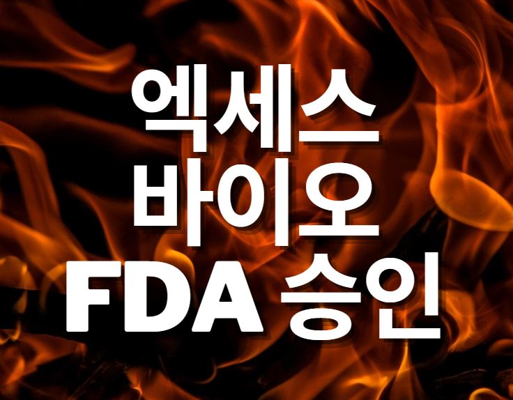  엑세스바이오 주가  미 FDA 승인 허락