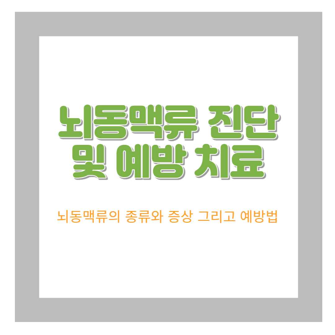  뇌동맥류 진단 및 예방 치료