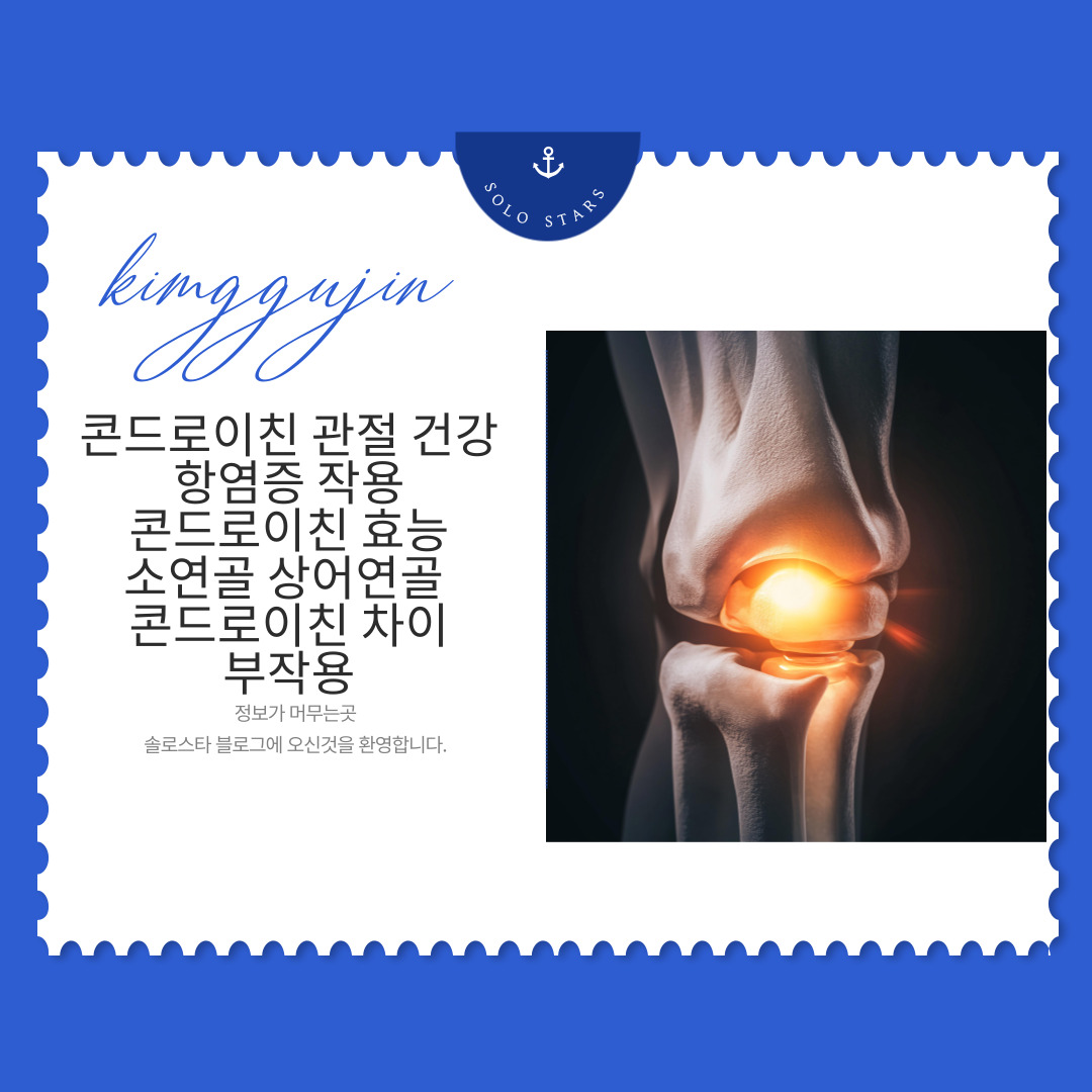 관절 관련 사진
