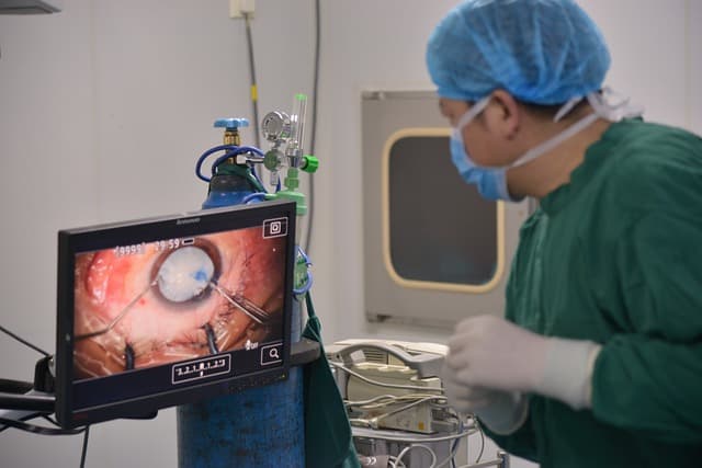 위장 질환 연구를 위한 Gut-on-a-Chip – 소화기 건강을 어떻게 분석할까?